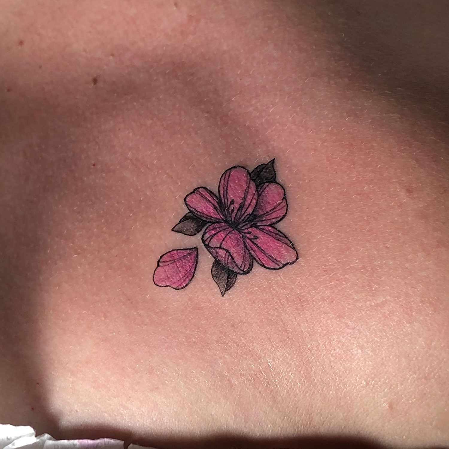 tatuaje blanco y negro y color flor cerezo