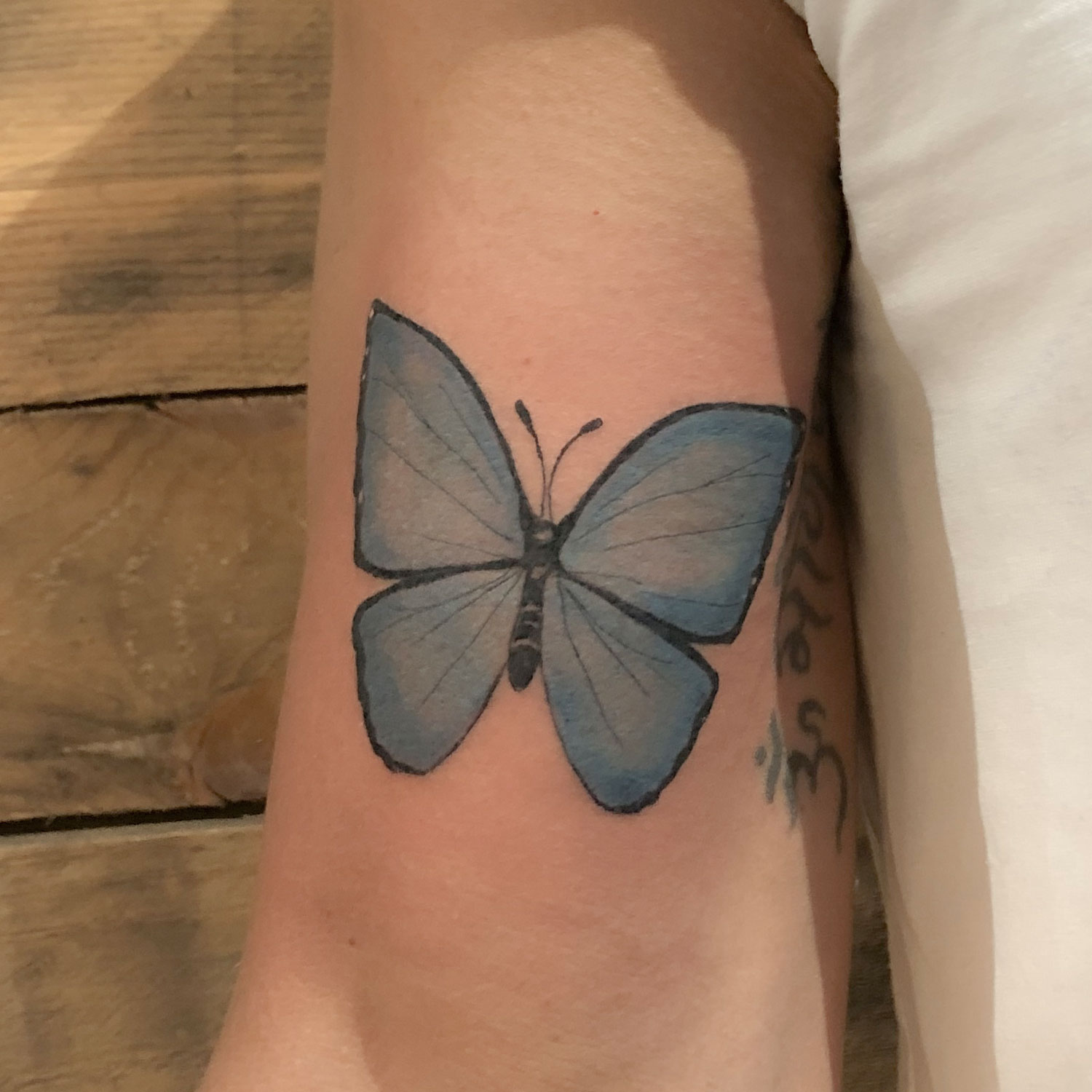 tatuaje color mariposa