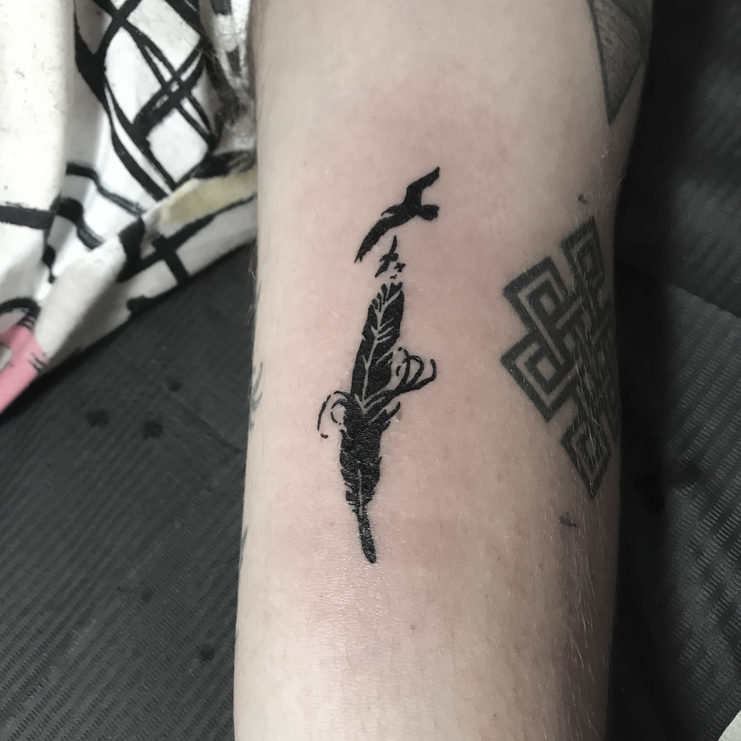 tatuaje blanco y negro silueta de un pájaro y una pluma
