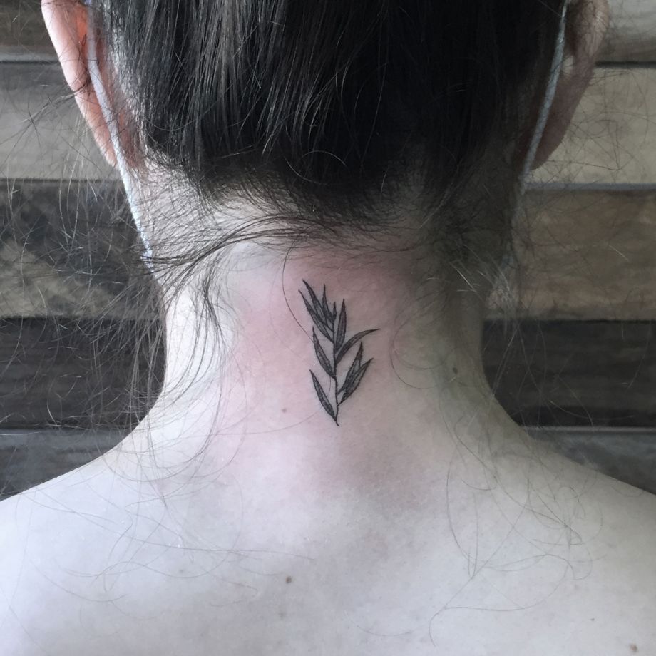Tatuaje en fine line y whip shading de una rama de laurel