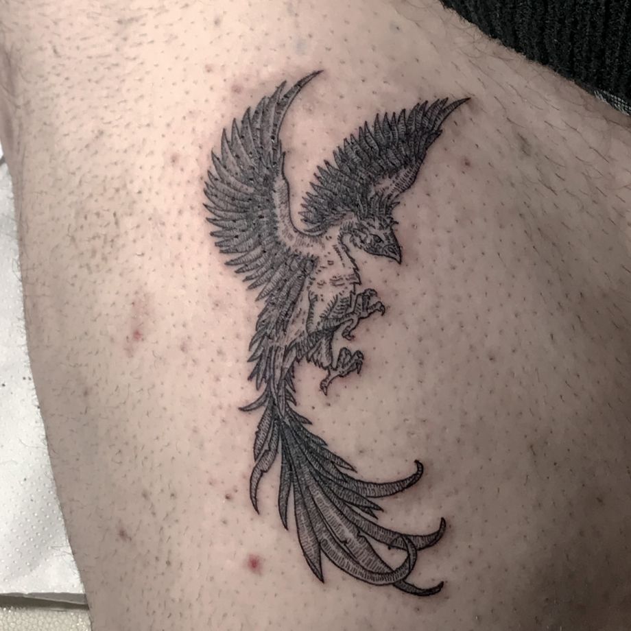 Tatuaje estilo engravers del ave fénix