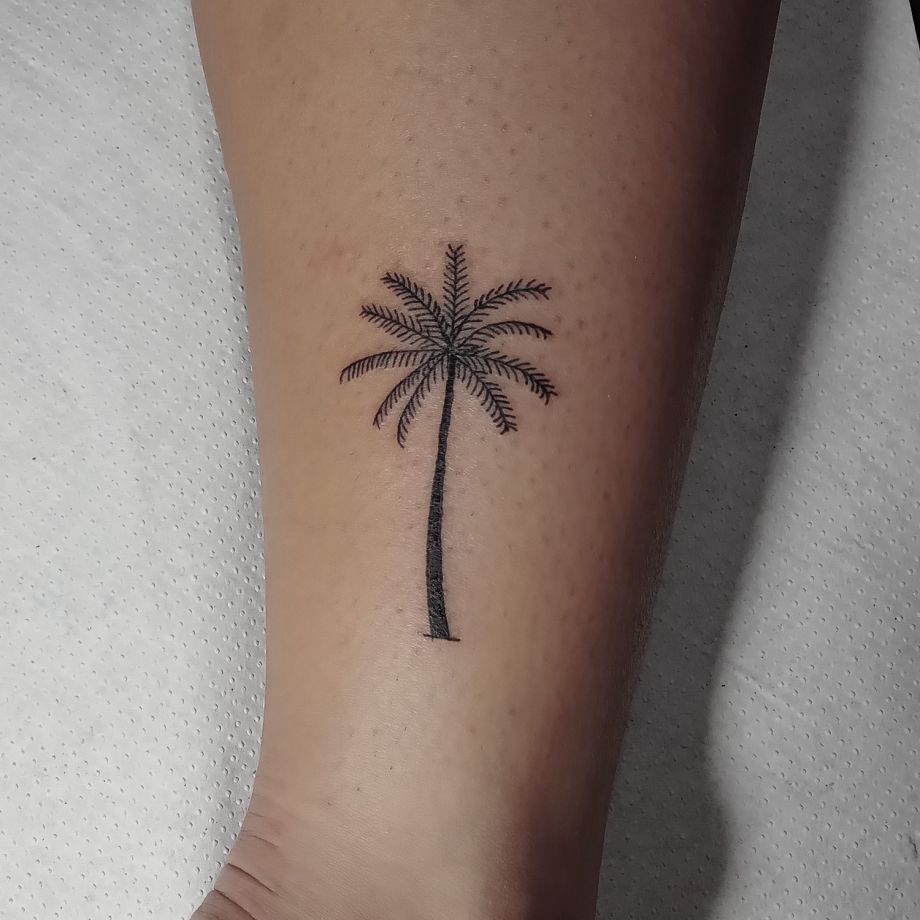 Tatuaje ilustrativo de una palmera